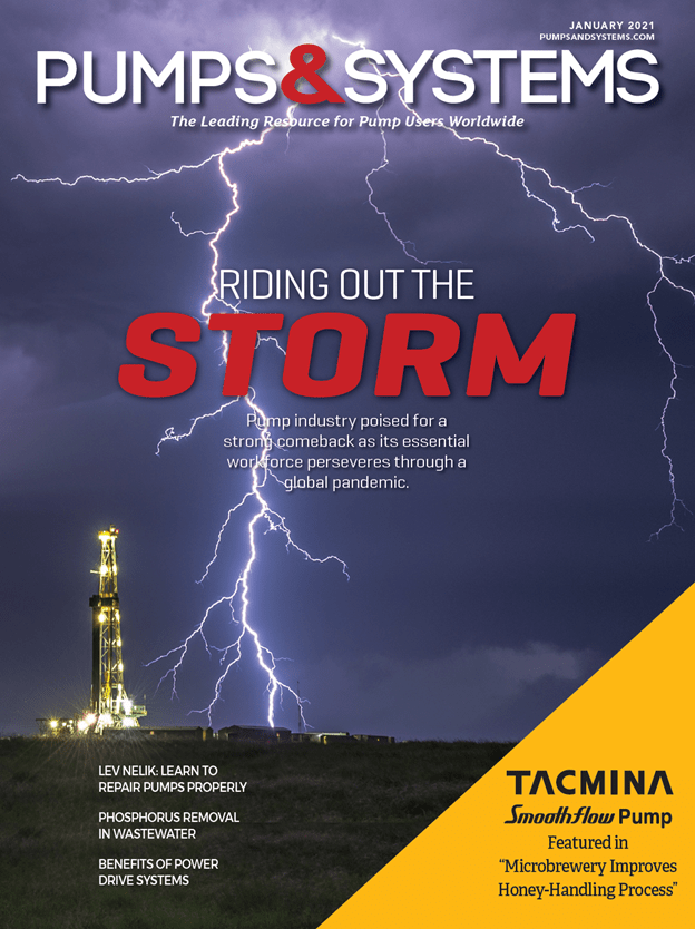 Tacmina Magazine Cover From Pumps &Amp; Systems January 2021 Featuring The Microbrewery Success Story